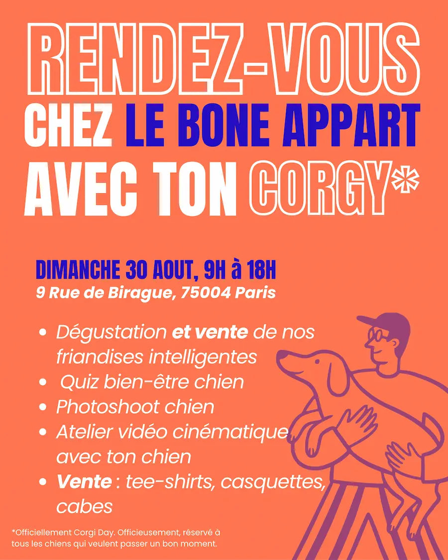 Corgi Day · Rendez-vous chien au cœur du Marais