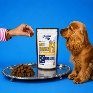 Complément Multivitamines