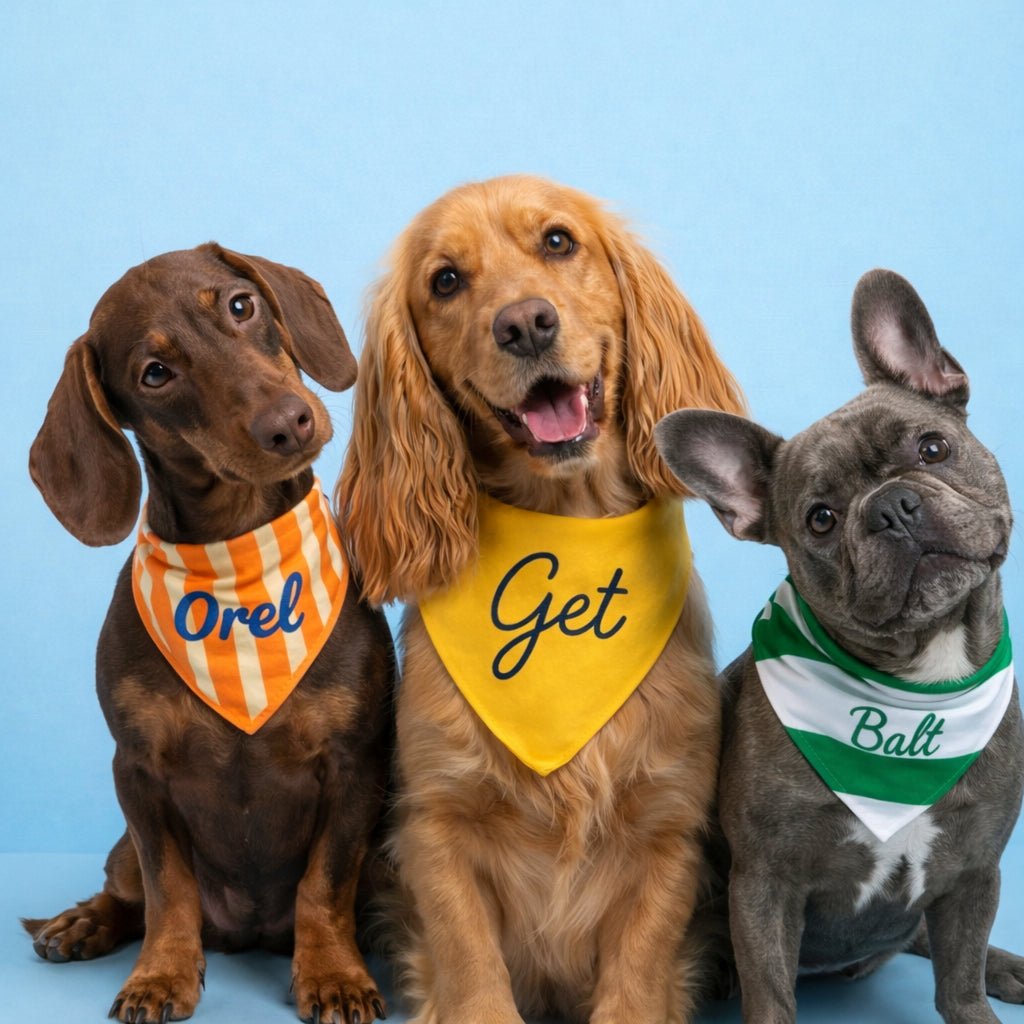 Trois chiens portant les foulards Jacqueline's Lab