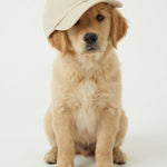 Casquette Good Boy Jacqueline's Lab portée en situation, vignette 1