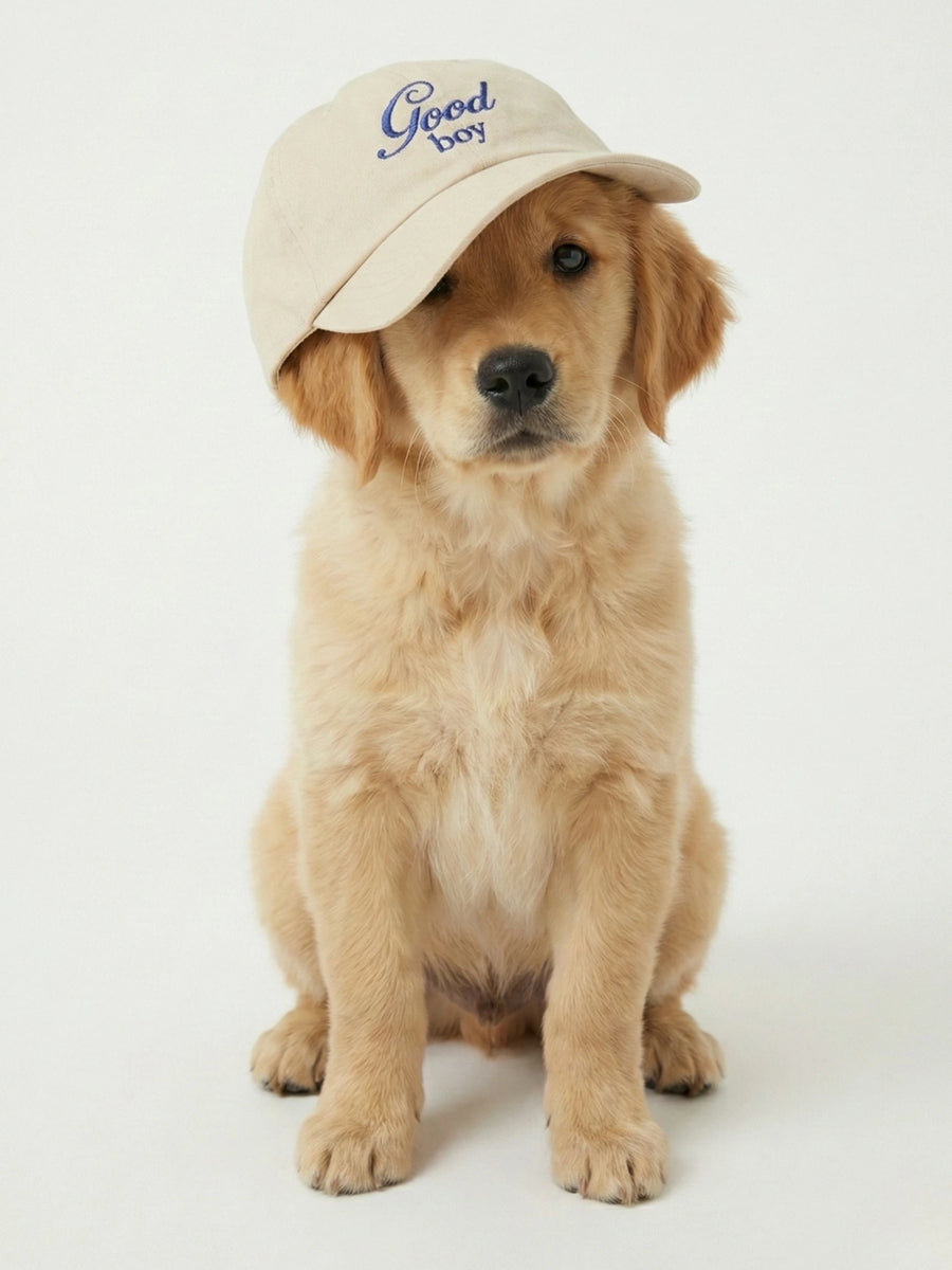 Casquette Good Boy Jacqueline's Lab portée en situation