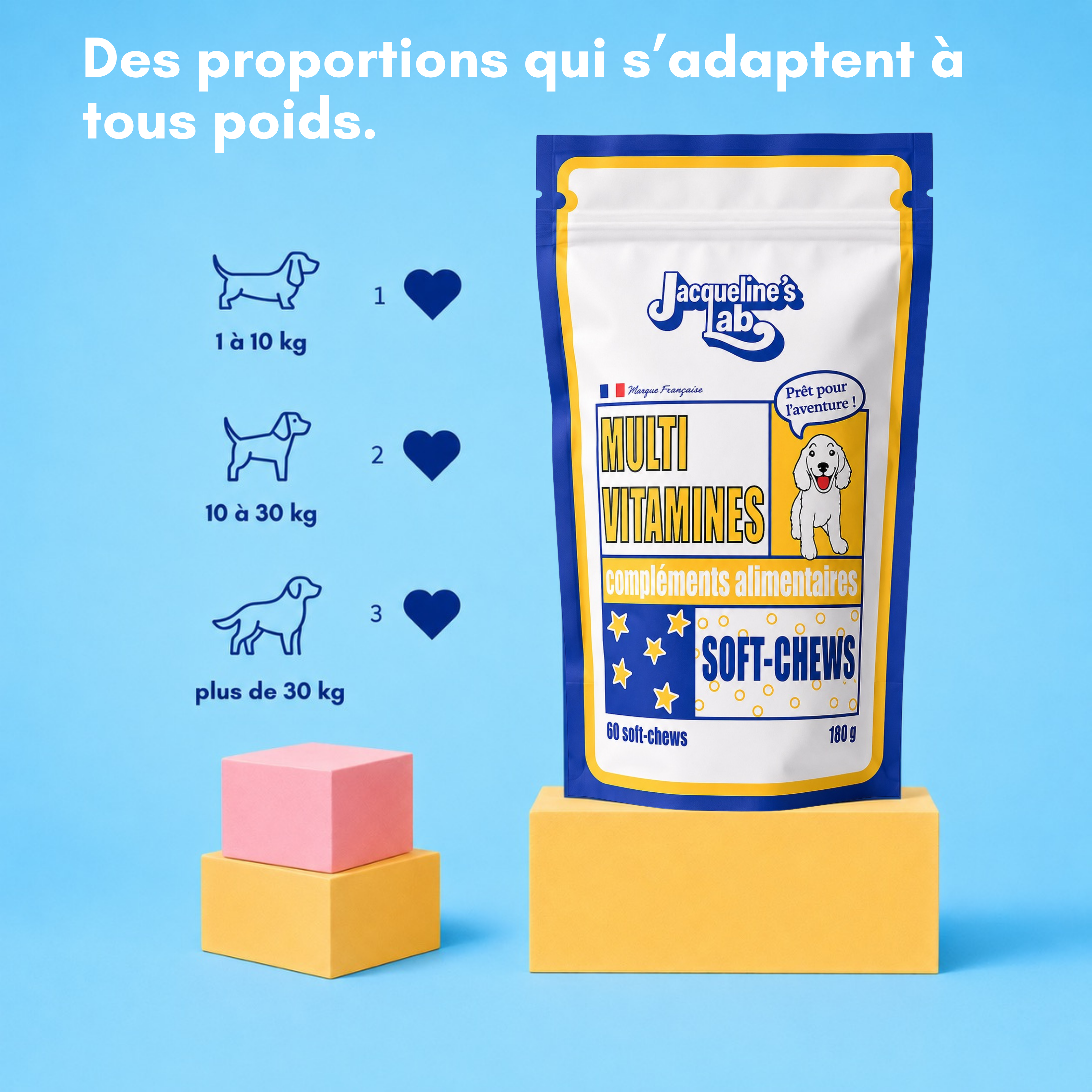 Complément Multivitaminé