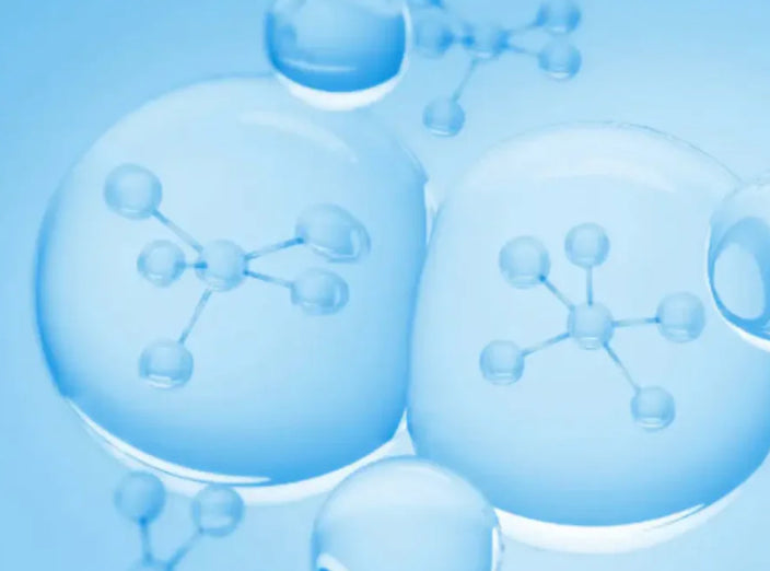 Complexe multi-enzymes