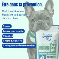 Complément Digestion, vignette 8