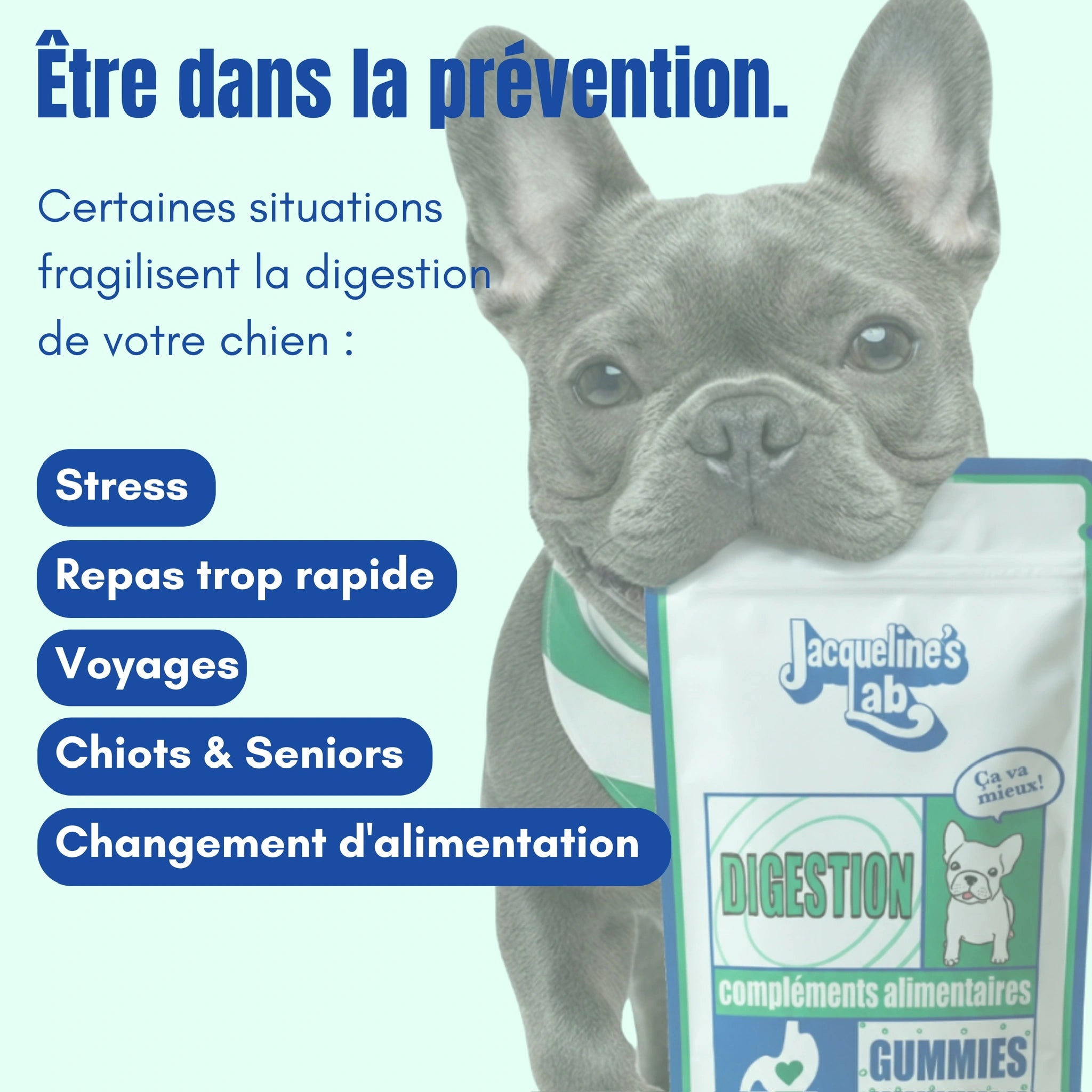 Chien au ventre apaisé grâce au complément Digestion Jacqueline's Lab