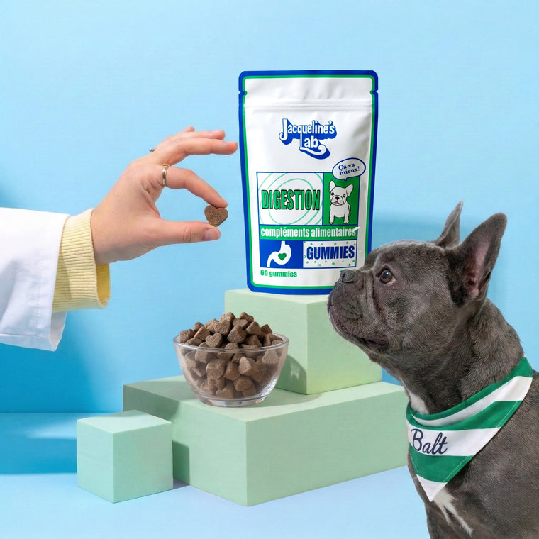 Digestion - Complément articulaire pour chien