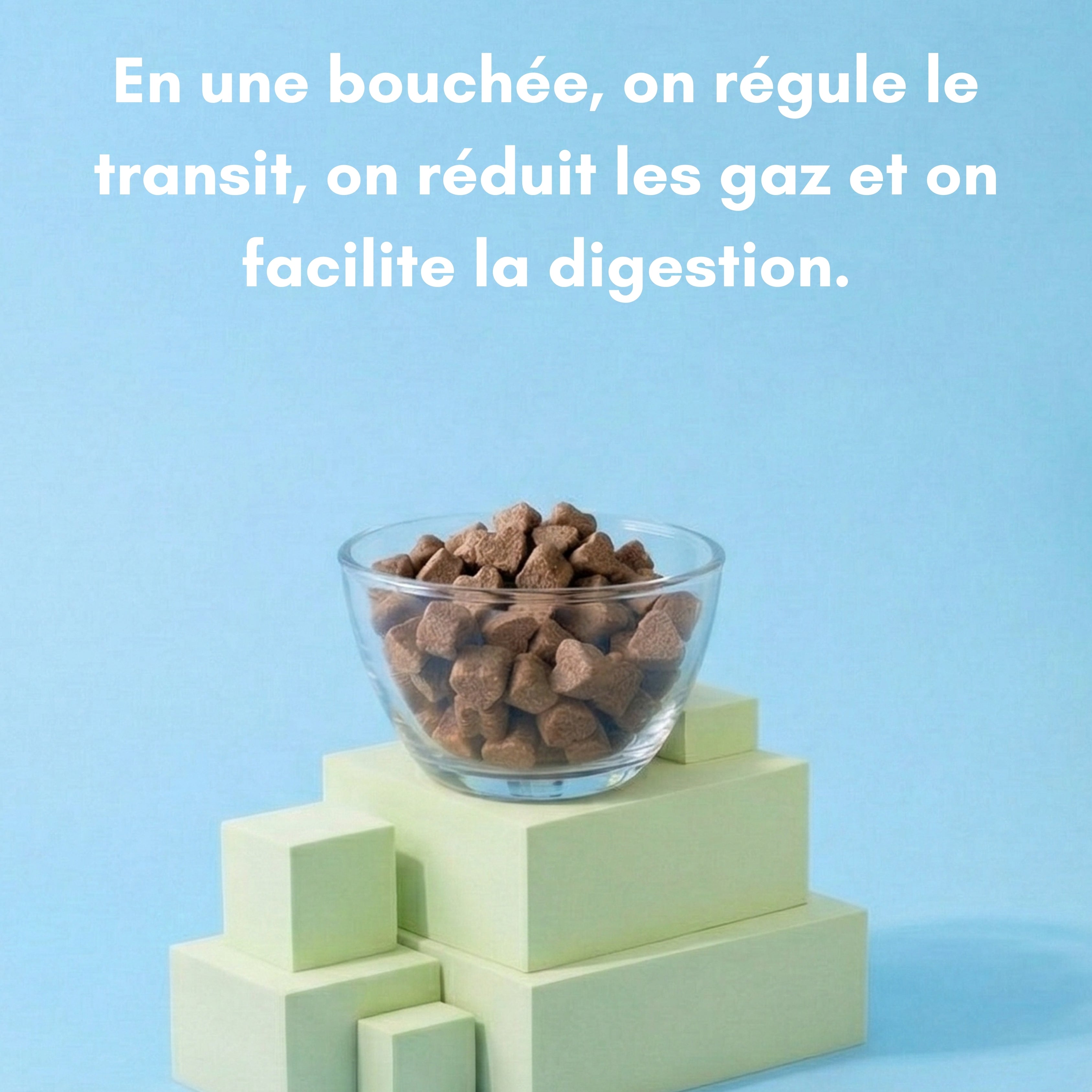 Digestion - Complément articulaire pour chien