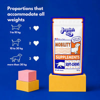 Mobility Supplement, vignette 7