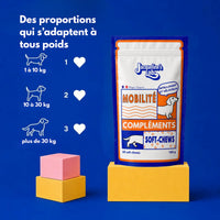 Complément Mobilité, vignette 7