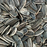 Vitamine B1