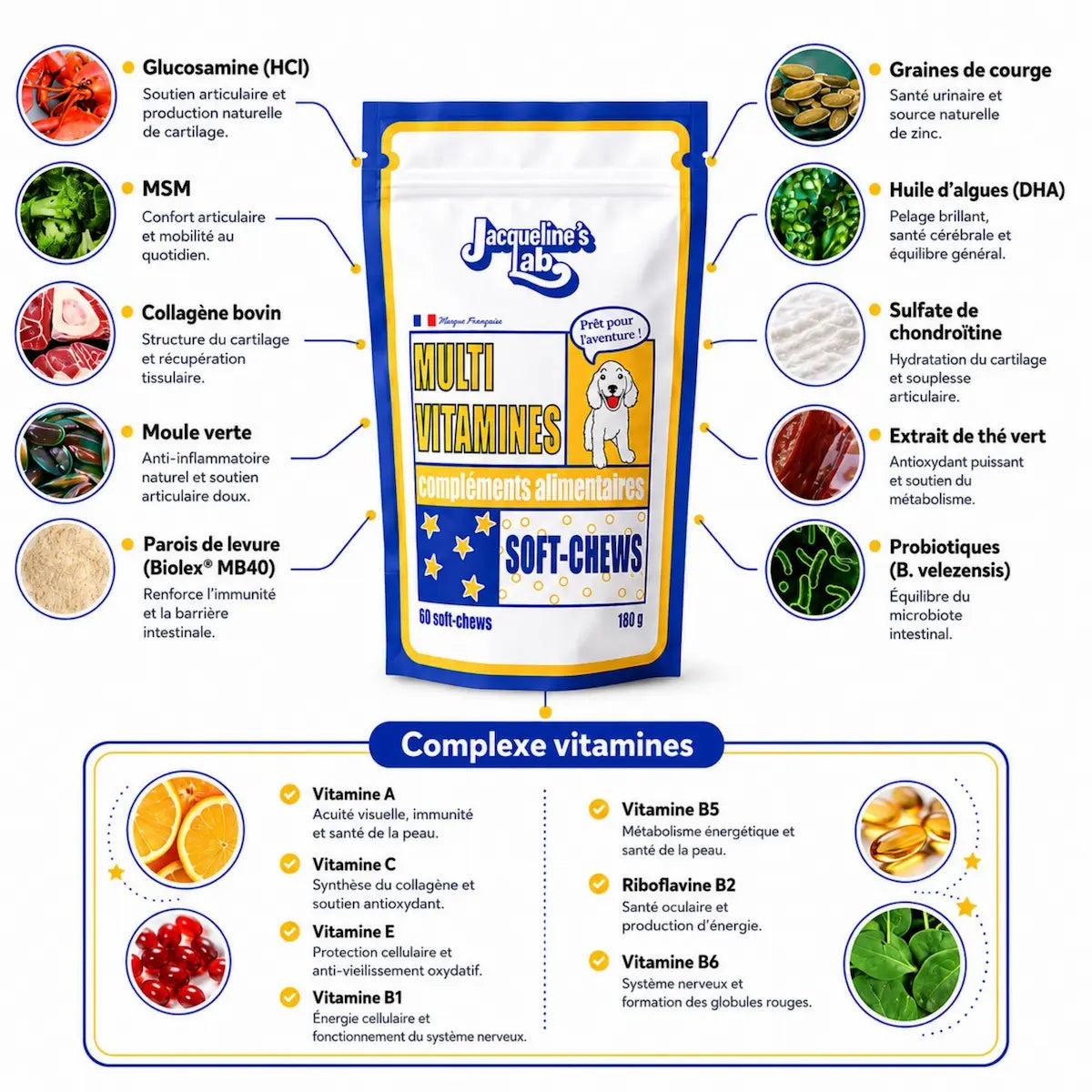 Composition et dosages des Multivitamines : vitamines B, C, A, E et DHA