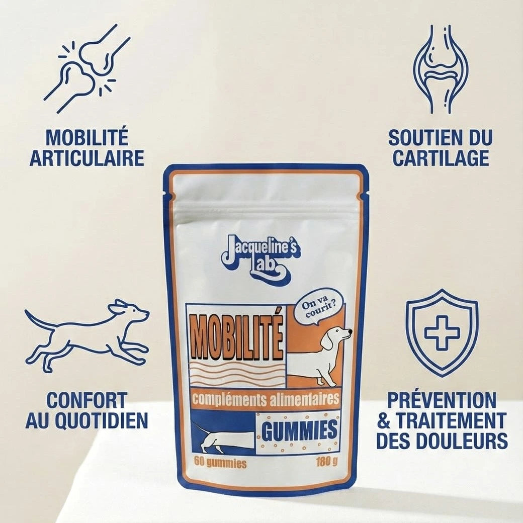 Mobilité – Complément articulaire pour chien