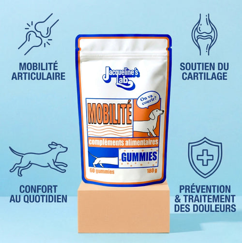 Mobilité – Complément articulaire pour chien