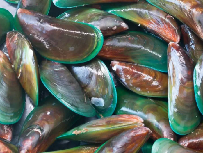 Collagene bovin + moule verte