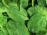 Vitamine E